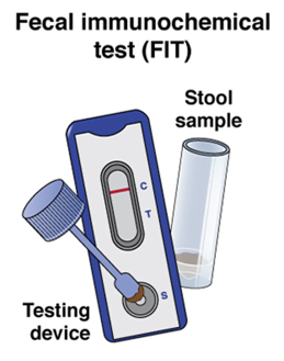 Fecal immunochemical test (FIT)