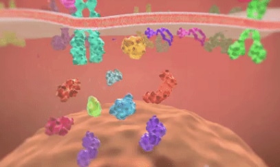 Oncogenic signaling pathways activated by genetic alterations or mutations contributing to cancer development and progression.