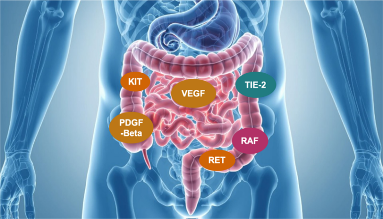 Diagram showing kinases in the colon and rectum area
