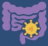 Colorectal Cancer (CRC) Icon