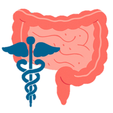 Inflammatory Bowel Disease Icon