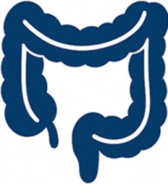 Large Intestine Icon