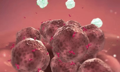 Enhanced anti-tumor immune response by targeting various immune-mediated pathways